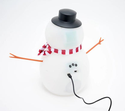 Muñeco de nieve animado que habla